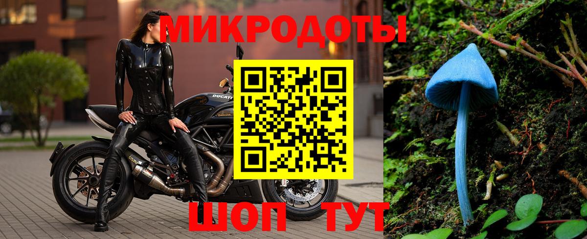 Псилоцибиновые грибы мухоморы Коммунар