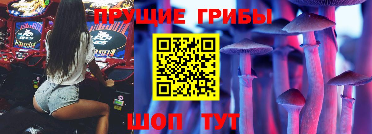 Псилоцибиновые грибы Psilocybine cubensis  Псилоцибиновые грибы Magic Shrooms  купить наркоту  Вход с VPN  Коммунар 